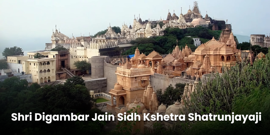 Shri Digambar Jain Sidh Kshetra Shatrunjayaji