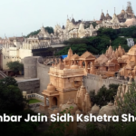 Shri Digambar Jain Sidh Kshetra Shatrunjayaji